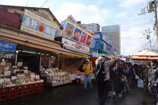 在市场吃上一份海鲜盖饭,才算是来过北海道